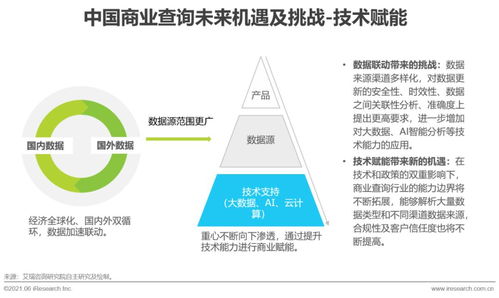 2021年中國商業(yè)查詢發(fā)展研究報告